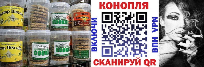 закладка  Салаир  MEGA ССЫЛКА  Canna-Cookies конопля 