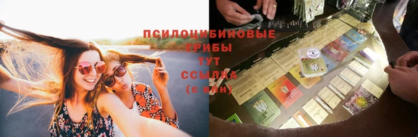 шишки Заволжье