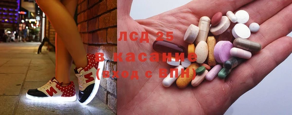 шишки Заволжье