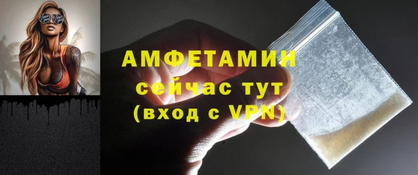 шишки Заволжье