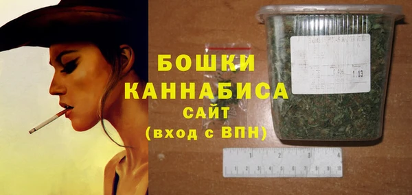 шишки Заволжье