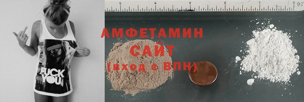 шишки Заволжье