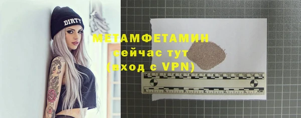 шишки Заволжье
