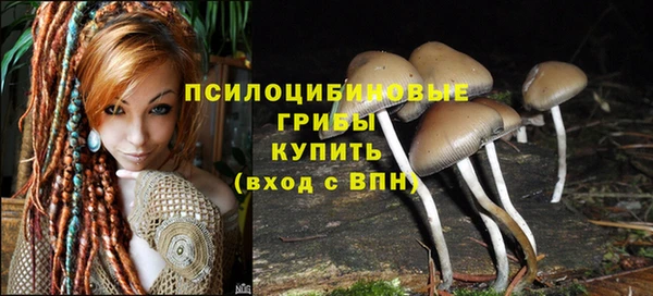 шишки Заволжье