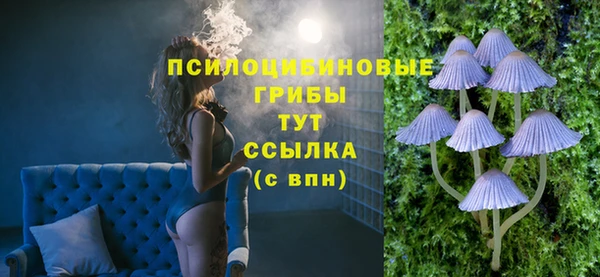 шишки Заволжье