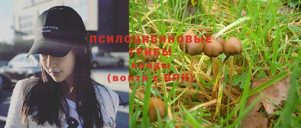шишки Заволжье