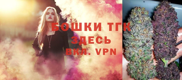 шишки Заволжье