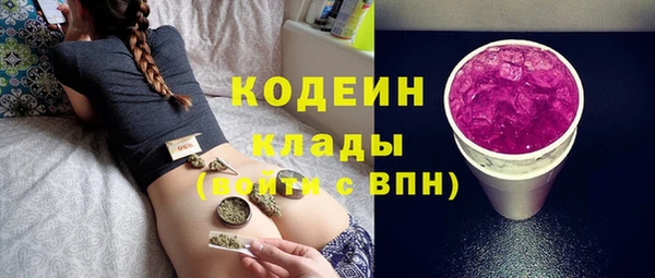 шишки Заволжье